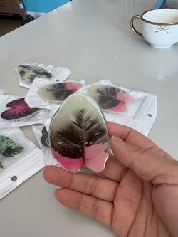 Handmade Resin Leaf Art – Real Preserved Leaf