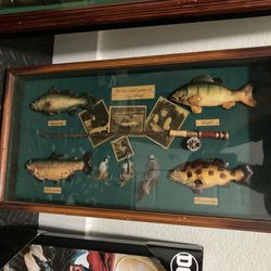 Vintage Fly Fishing Wall Frame Decor for Sale in Miami, FL - OfferUp