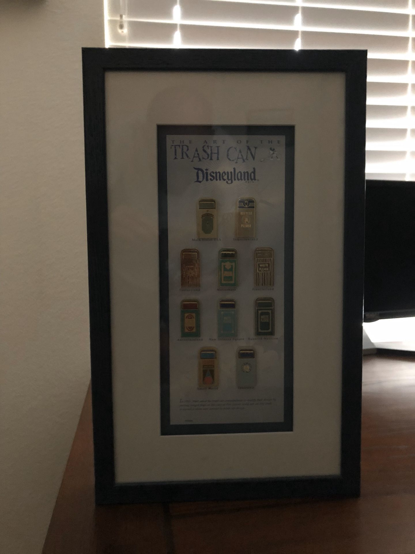 Disney DLR Disneyland Framed Pin Set “The Art of the Trash Can”