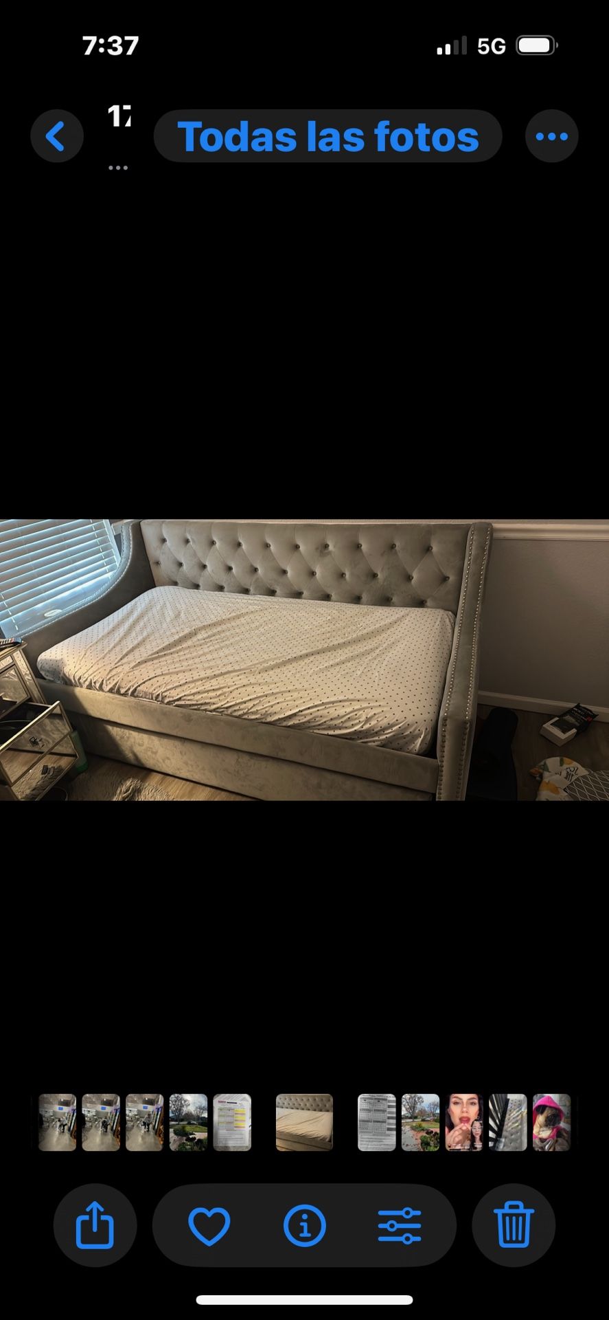 Grey Day Bed, Twin Mattress Included