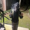 Davon Lulk