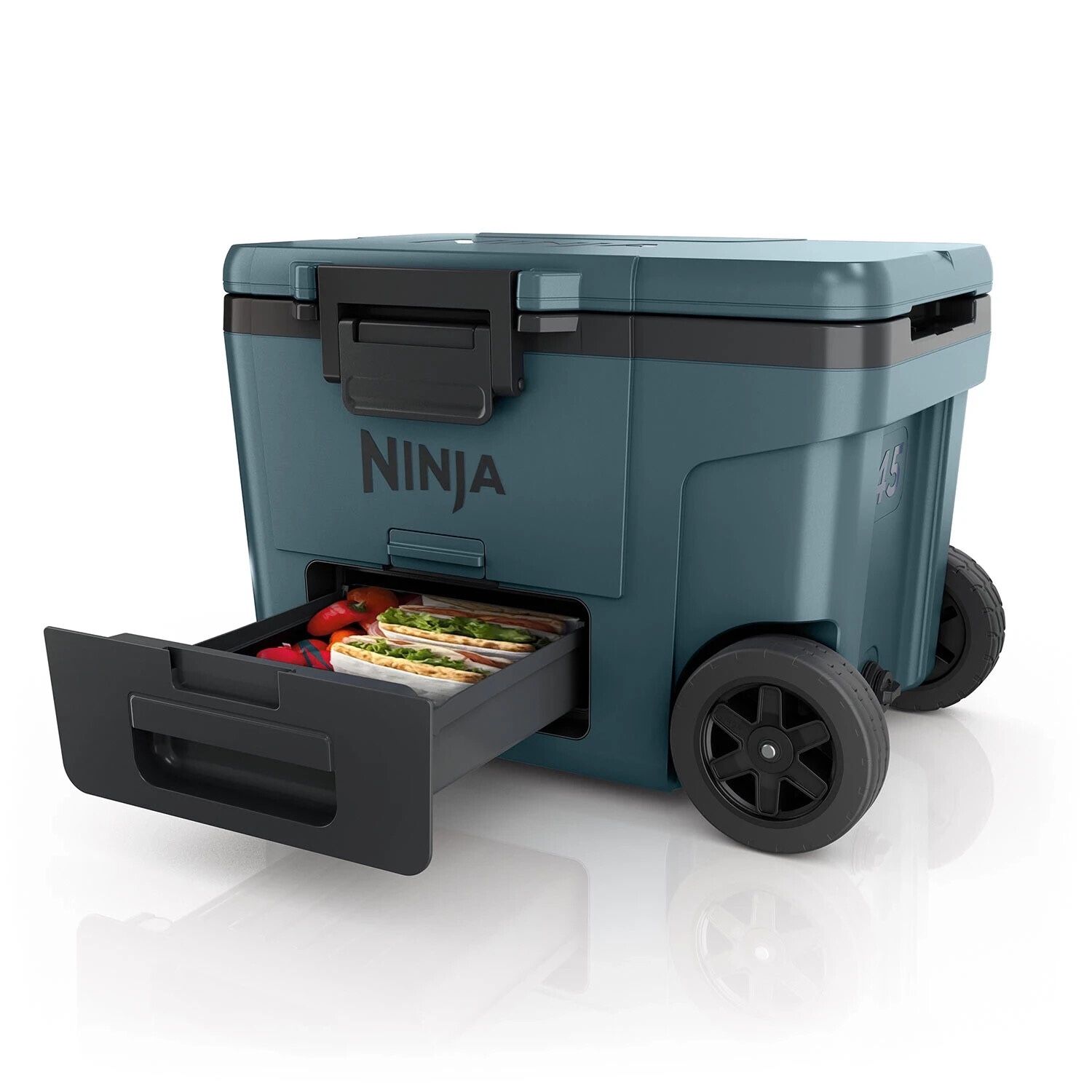 Ninja 45qt Cooler 