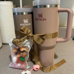 Stanley Tumbler Set W Straw Stoppers 