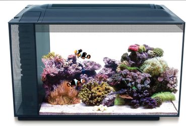 Fluval reef ready tank for sale