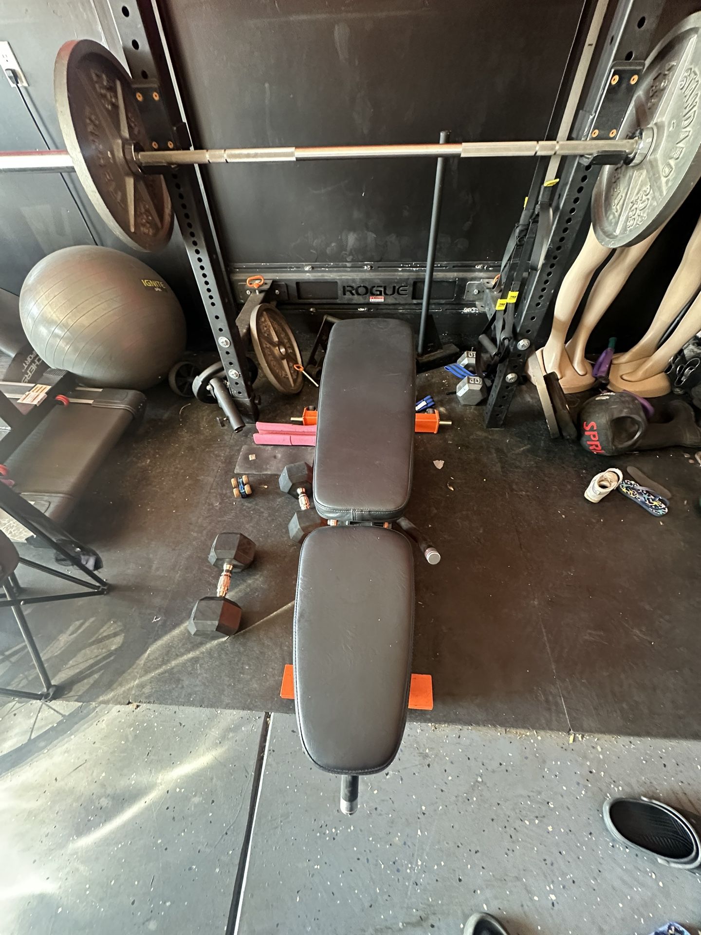 Rouge And Nordic track Treadmill