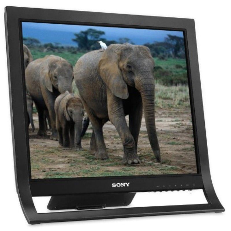 Sony X-Brite SDM-HS95P/B 19" LCD Monitor VGA DVI (Black)