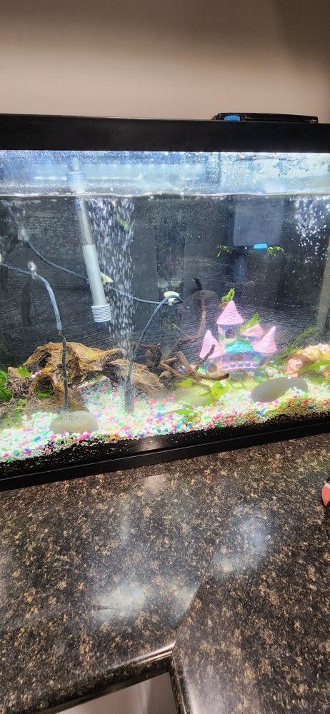 Fish Tank