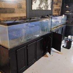 Fish Tank 125 G