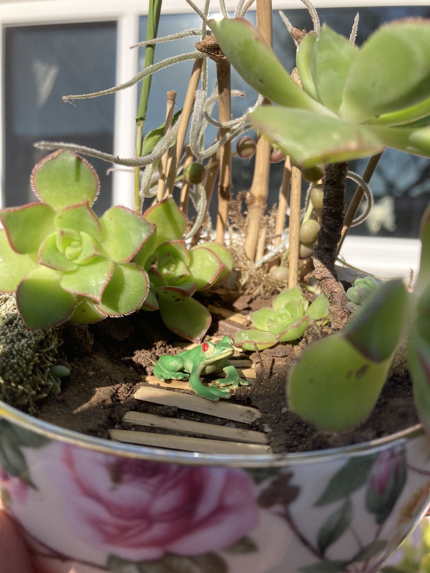 Plant Ornament Planta Succulent Decor Decoration