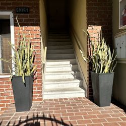 2 Large Front Door Plants And Planters
