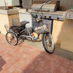 Three Wheel Electric Bike