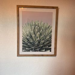 Cactus Prints Set Of 2