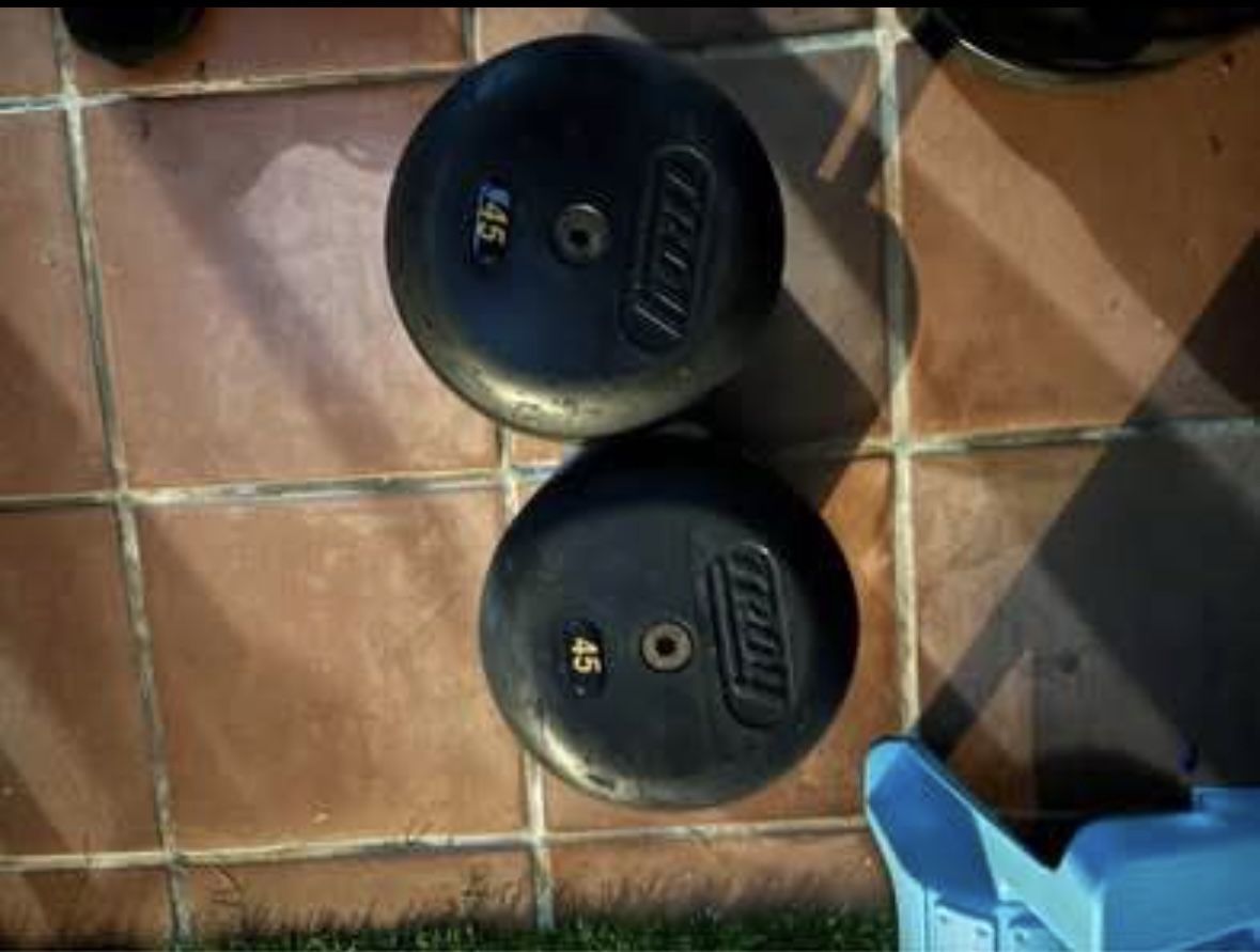 45lb Dumbbells