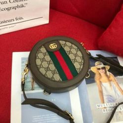 .Authentic GG Ophidia Small