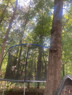 Trampoline