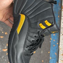 Jordan 12 ‘s