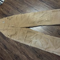 Carhartt Double Knee overalls