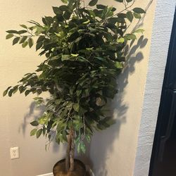 Faux Plant
