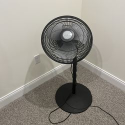 Lasko Fan