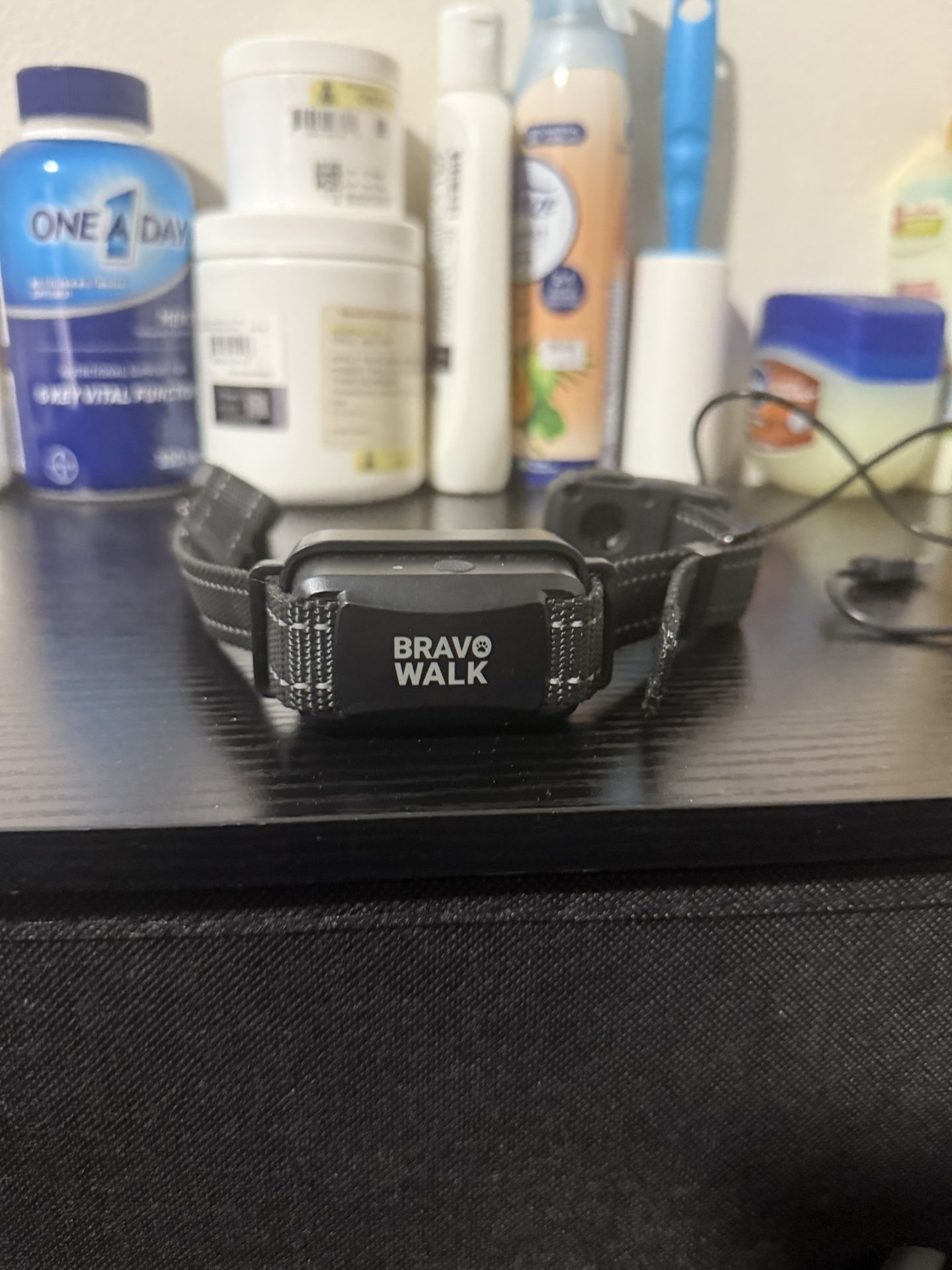 Bravo Walk Dog Collar Shock/vibrate