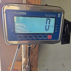 Pallet weight scale