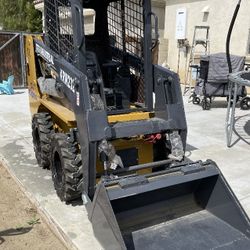 Bobcat 