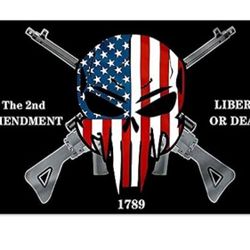 2nd Amendment Flag