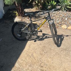 Elocony Bike - Youth Medium Frame, 24” Wheels 