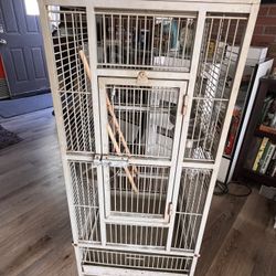 Bird Cage