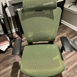 FLEXISPOT Office Chair- Green