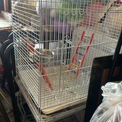 Birdcages & A Birdhouse Best Offers On Them