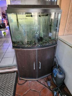 36 gallon fish tank w/ canister