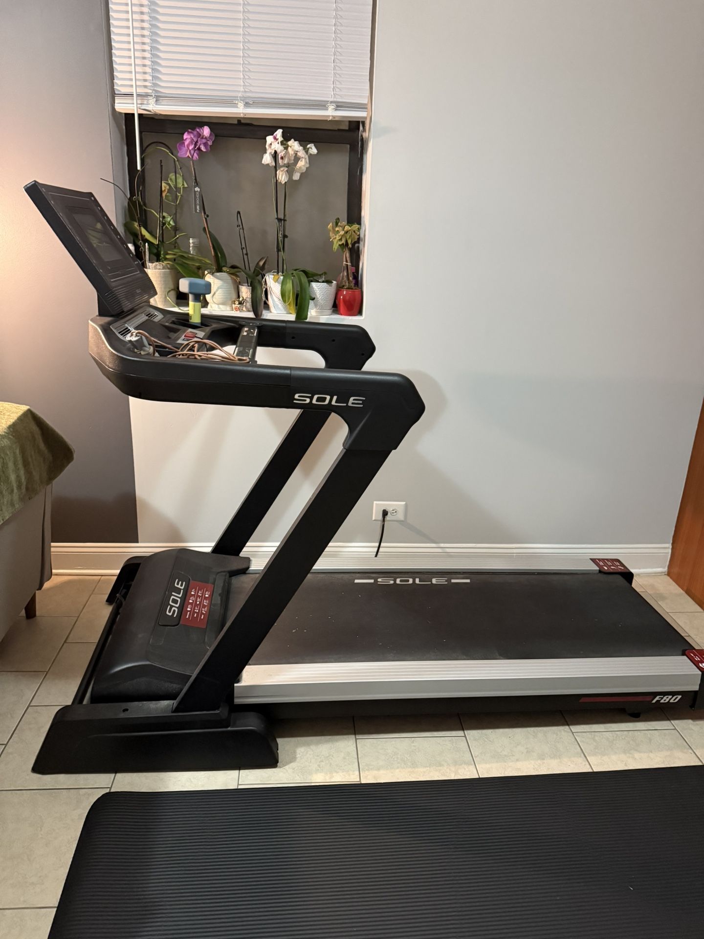 Treadmill- Sole F80 (2023)
