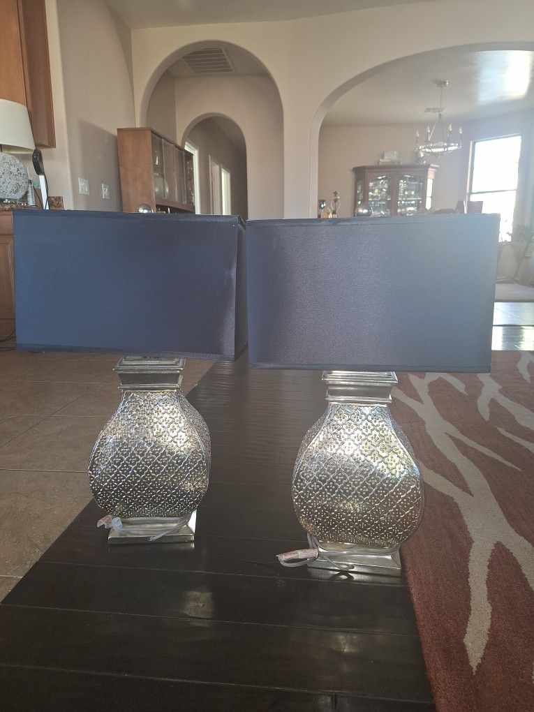 Beautiful Silver/Gold Lamps