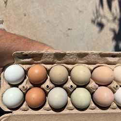Huevos De Rancho Farm Fresh Eggs
