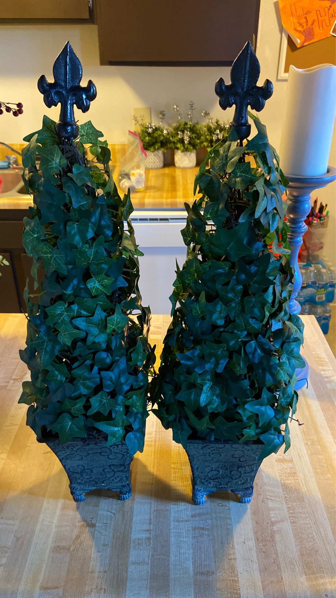 Two 24in House plants