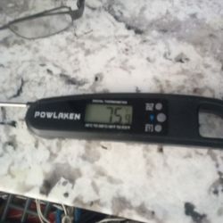 Meat Thermometer Never Used