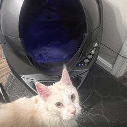 Working USED litter Robot 3 