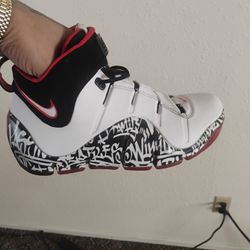 2023 LeBron Graffiti 4s  (Retro)  Size 10½