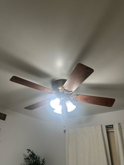 Ceiling fans