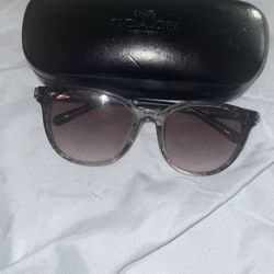 Coach Horse And Carriage Sunglasses Dark Grey 
