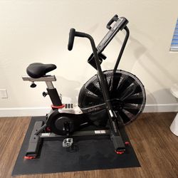 Schwinn Airdyne AD7 Exercise Bike