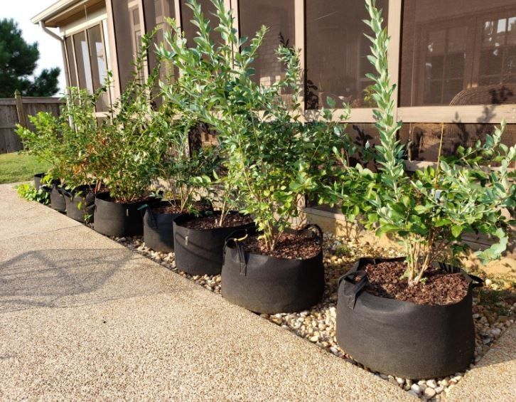 Grow Plants 24/7! Premium Grow Bags, Heavy Duty, In/Outdoor, Multifunctional! 