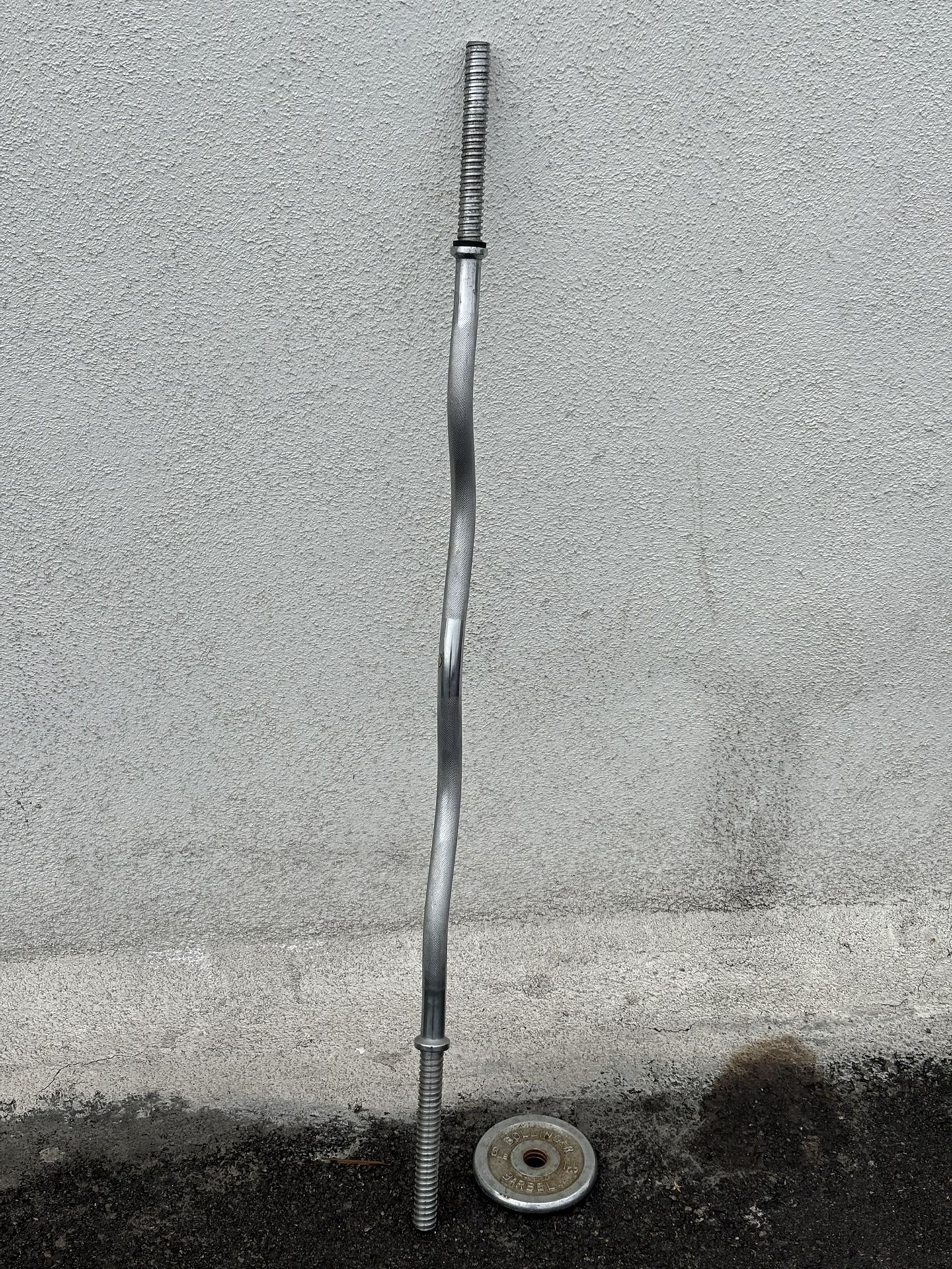 Curl bar and one weight plate 47” long