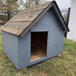 Dog House 