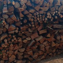 Ready To Burn Firewood