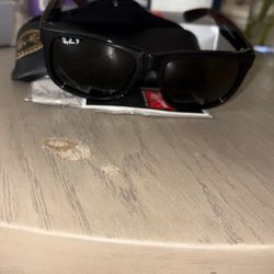 Sunglasses 