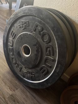 Rogue HG Bumper weights $120 firm