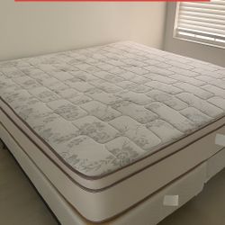 New King Mattress And Box Springs Bed Frame Is Not  Included 