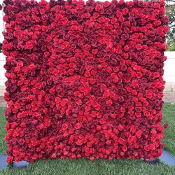 Rose Walls